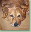Girldog