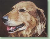 Josie