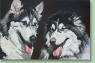Tasha and Kismet