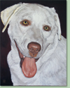 Baxter
